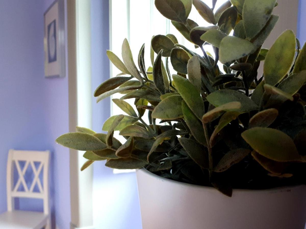 Casa Joya Panzió Góis Kültér fotó